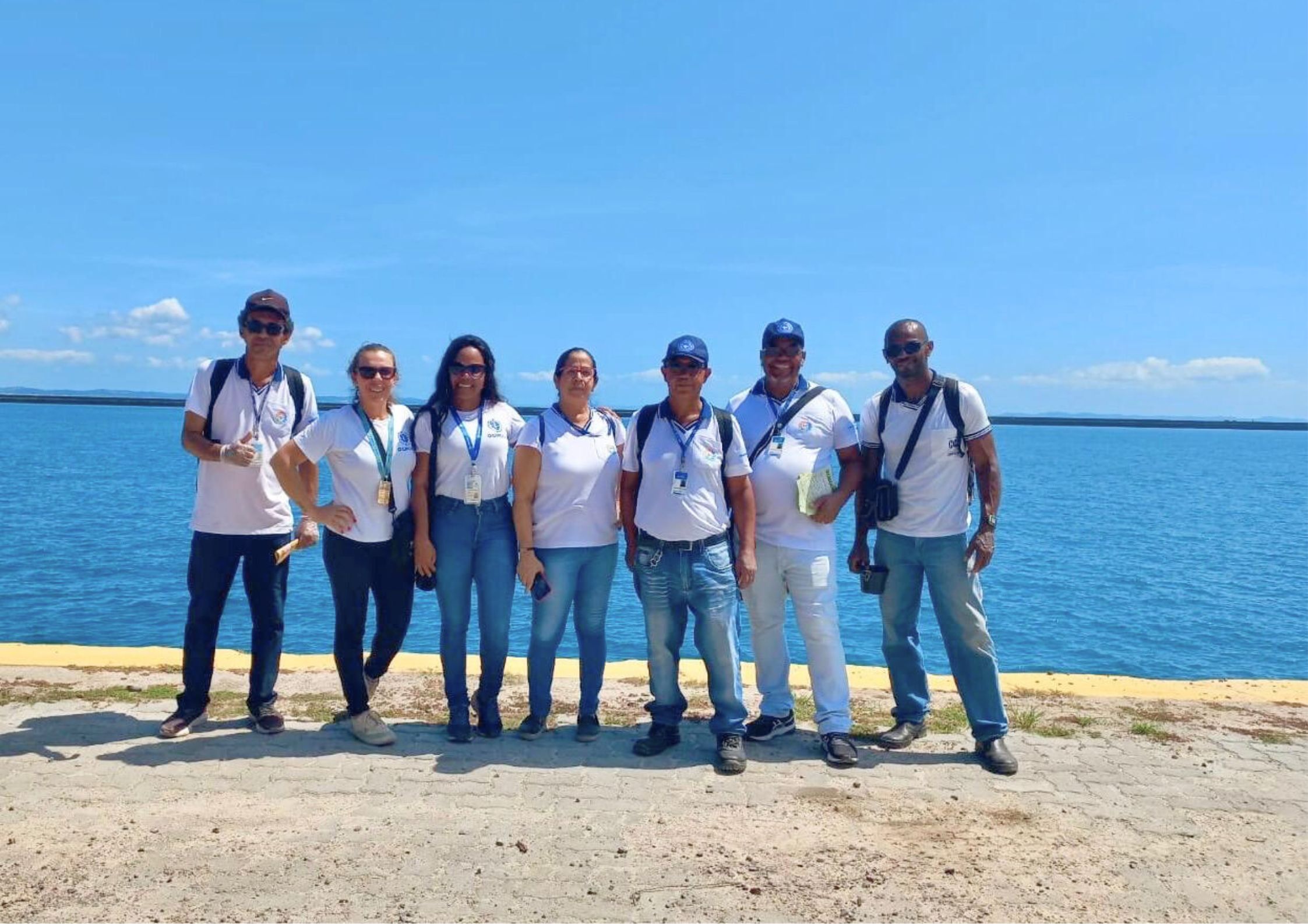 Ao Contra o Mosquito Aedes Aegypti 